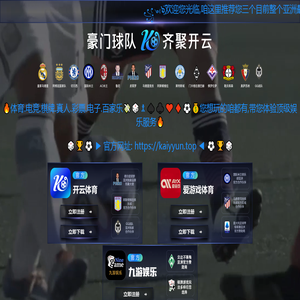 岳西县天鹅电子科技有限公司