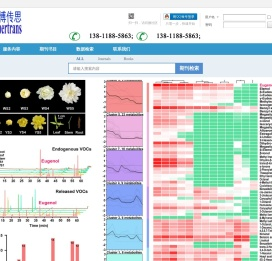 派博传思国际中心