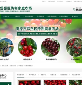 吉塞拉樱桃苗,吉塞拉矮化樱桃苗