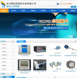 武汉赛拉斯测控仪表有限公司