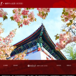北京大学综合门户