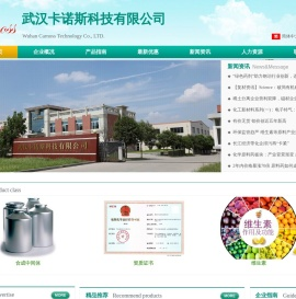 武汉卡诺斯科技有限公司