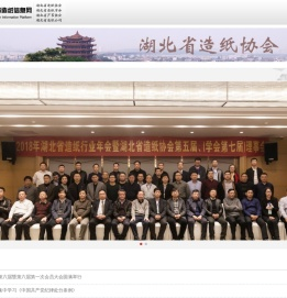 湖北造纸信息网