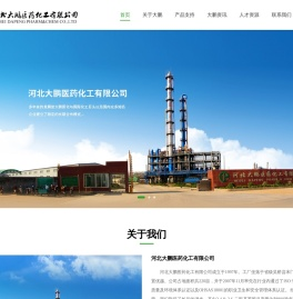 河北大鹏医药化工有限公司