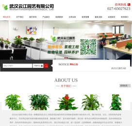 武汉花卉租赁绿植租摆武汉办公绿植租赁