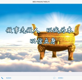 陕西大华保全电子有限公司