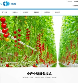 北京京鹏环球科技股份有限公司