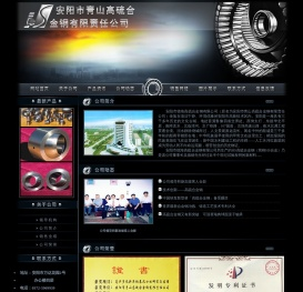 安阳市青山高硫合金钢有限责任公司