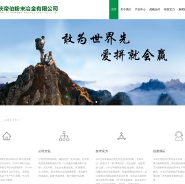 安庆帝伯粉末冶金有限公司