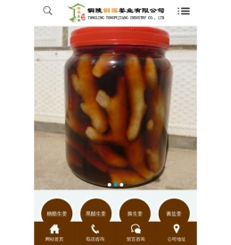 铜陵铜福姜业,为您提供铜陵生姜,铜陵贡姜,铜陵特产,大院生姜,铜陵白姜,铜陵大院生姜,铜陵生姜,铜陵糖醋姜,铜陵酱生姜,生姜,铜陵新建生姜.