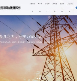 山东鲁电线路器材有限公司