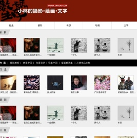 数码生存