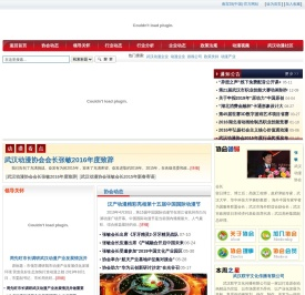武汉动漫协会1