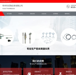 常州市武翔仪表有限公司