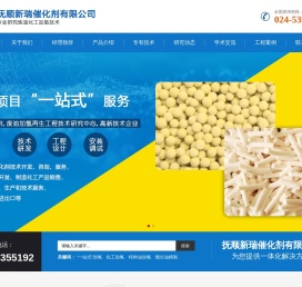 抚顺新瑞催化剂有限公司