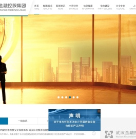 武汉金融控股（集团）有限公司