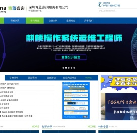 深圳青蓝咨询服务有限公司