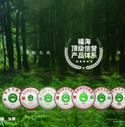 勐海县福海茶厂官方网站
