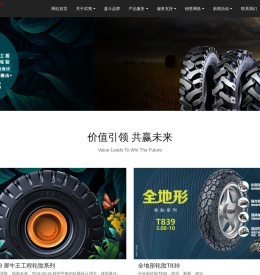 福建省邵武市正兴武夷轮胎有限公司