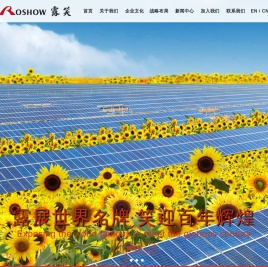 露笑集团有限公司官网