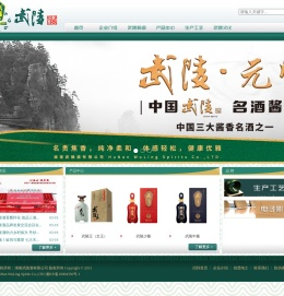 湖南武陵酒有限公司