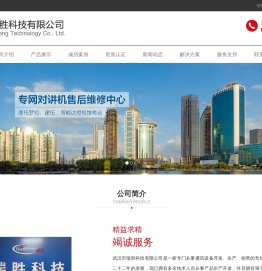 武汉市瑞胜科技有限公司