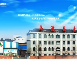 山东平阴丰源炭素有限责任公司