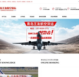 国内空运