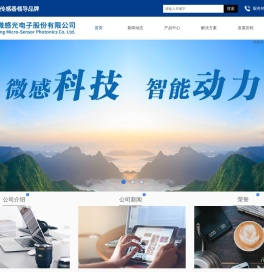 山东微感光电子有限公司