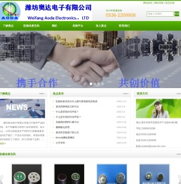 潍坊奥达电子有限公司