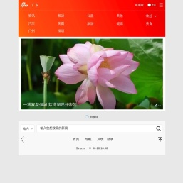新浪广东