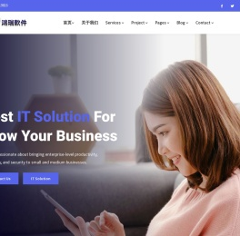 鸿瑞天虹软件