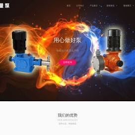 计量泵,隔膜计量泵,柱塞计量泵,液压隔膜计量泵,上海冠丰泵业制造有限公司
