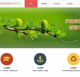 当阳市森成林化有限责任公司