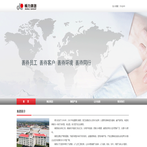 顿力集团有限公司