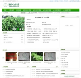 金银花苗木金银花烘干机械金银花茶金银花回收