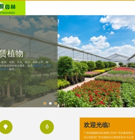 租赁办公室的花木,绿植,植物