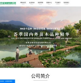 江西紫薇苗