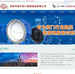 铁岭市康宁阀门橡塑制品有限公司提供阀门橡胶密封件