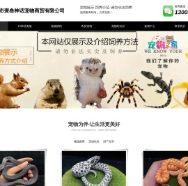 爬宠